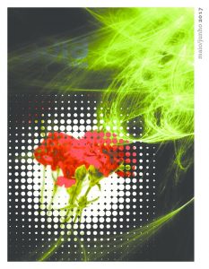 miniatura de 04_28_17_54_guia_maijun17