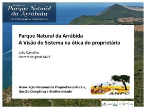 miniatura de ANPC – A Visão do Sistema na ótica do proprietário