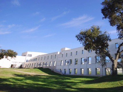 Escola Superior de Ciências Empresariais