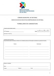 miniatura de Formulário de candidatura NNIES