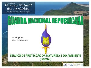 miniatura de GNR – Serviço de Proteção da Natureza e do Ambiente