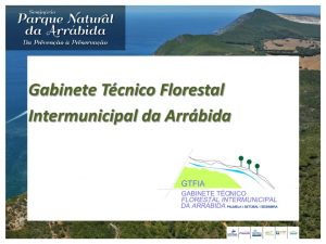 miniatura de Gabinete Técnico Florestal Intermunicipal da Arrábida
