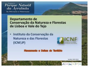 miniatura de ICNF – Planeamento e defesa do território