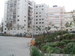 Espaços verdes | Avenida D. Pedro V