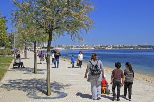 Parque Urbano de ALbarquel
