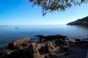 Arrábida | Sado