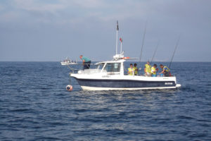 Campeonato Mundial de Pesca Desportiva - Os Amarelos