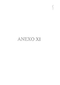 thumbnail of durb_38_anexoXI