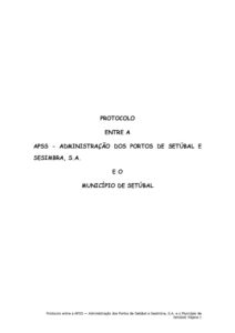 thumbnail of GAP_21_Protocolo