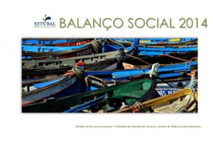 thumbnail of Balanço Social 2014