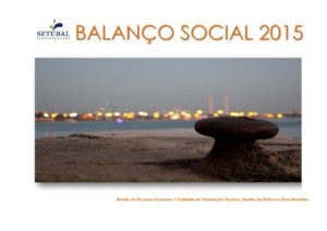 thumbnail of Balanço Social 2015