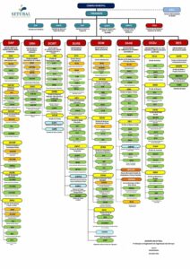 thumbnail of GAP-22-18-Organigrama-fev2019