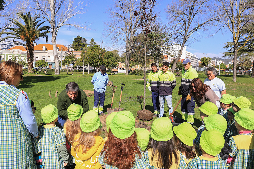 Dia Mundial da Árvore_Plantação_Árvores_Jardim_Bonfim_2019_04