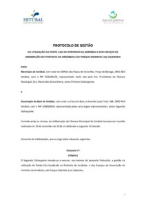 thumbnail of DCIRT-DITUR 06-19 – Anexo