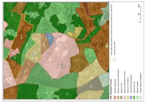 thumbnail of DURB-DIPU 17-19 – Anexo 1