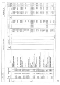thumbnail of Execução do plano de Atividades Municipal
