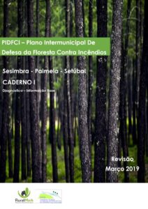 thumbnail of GVCR 01-19 – CADERNO I