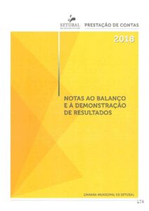 thumbnail of Notas ao Balanço e Demonstrações de Resultados