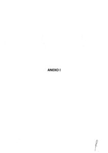 thumbnail of dcirt-ditur 10-19 – anexos i e ii