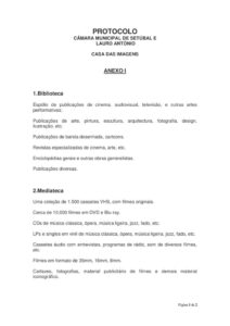thumbnail of DCDJ-DIBIM 87-19 – Anexo I