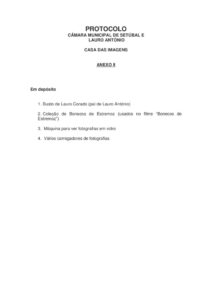 thumbnail of DCDJ-DIBIM 87-19 – Anexo II