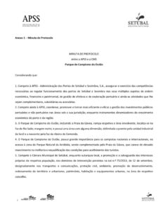 thumbnail of DCIRT-DITUR 12-19 – Anexo