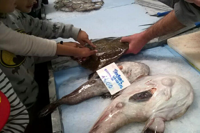 Da Lota ao Mercado | Serviço Educativo dos Museus Municipais