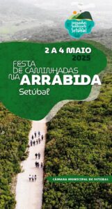 miniatura de PROGRAMA PT online