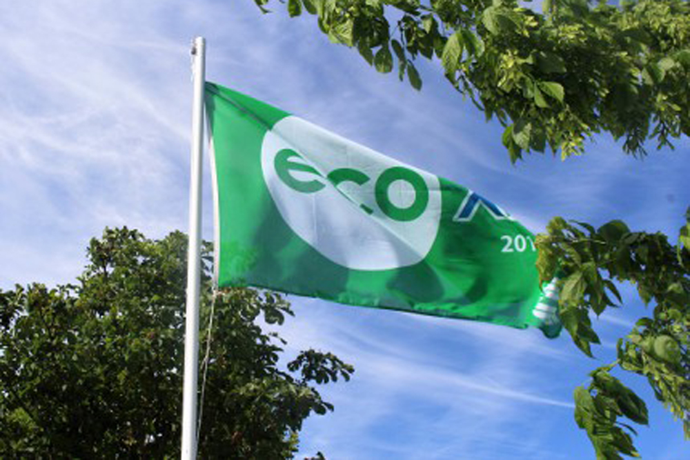 Bandeira Eco XXI