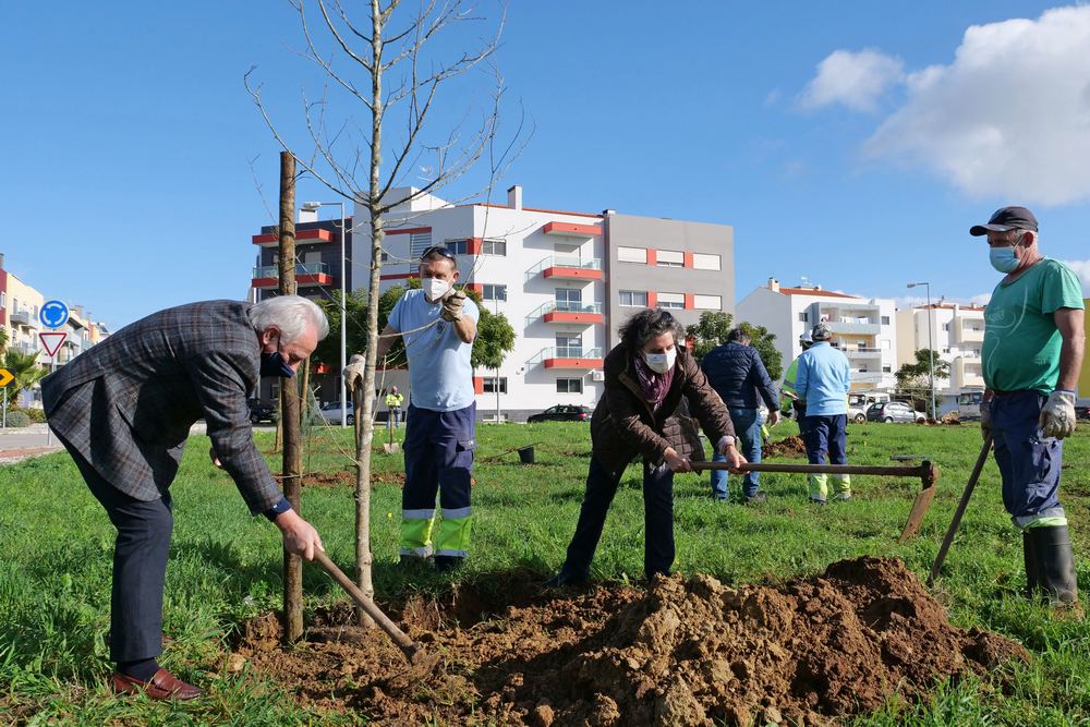 Plantação de Árvores - futuro Parque Urbano da Quinta da Amizade