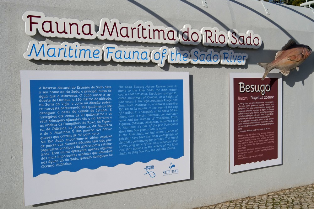 Mural Diocesano - Fauna Marítima do Rio Sado