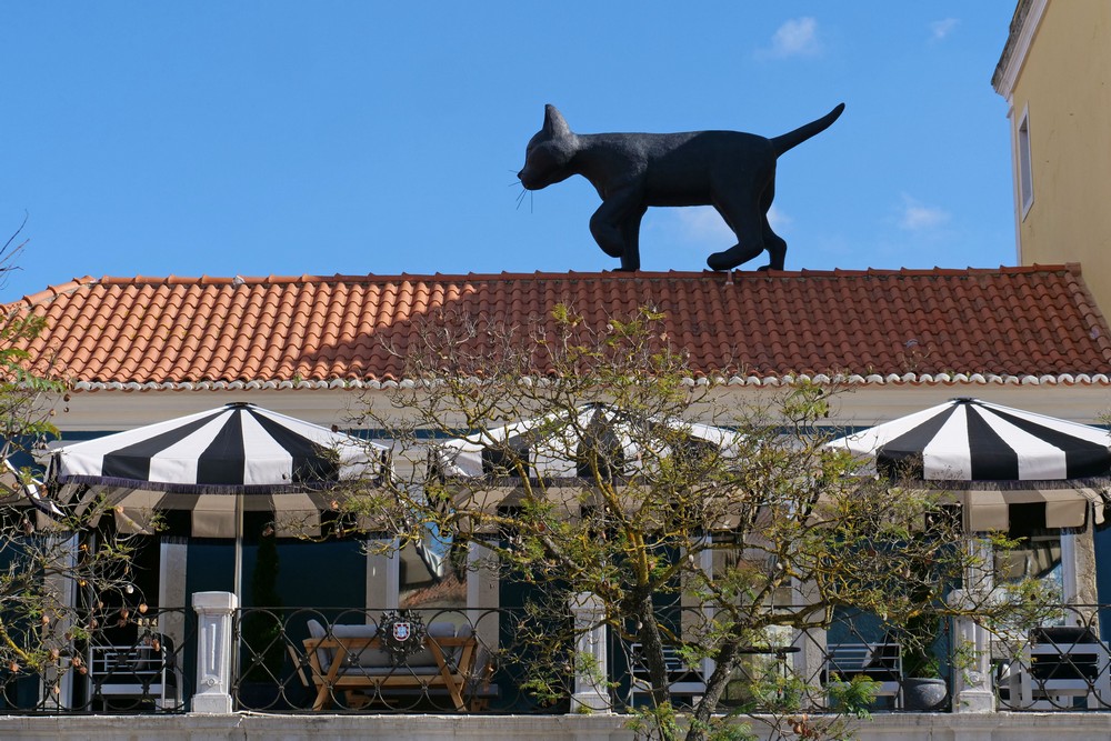 Casa do Turismo | 'O Gato e o Vento'