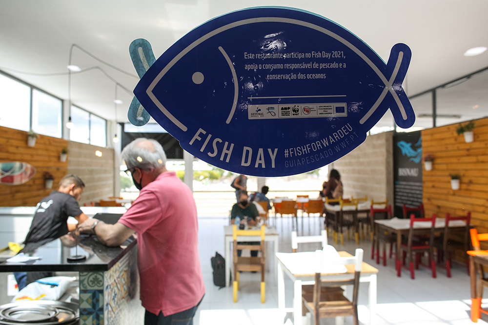 Fish Day | consumo sustentável de peixe