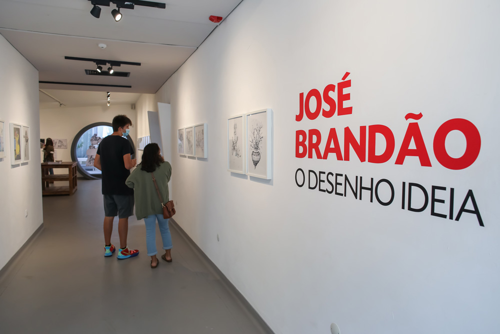 Festa da Ilustração 2021 | O Desenho Ideia | José Brandão