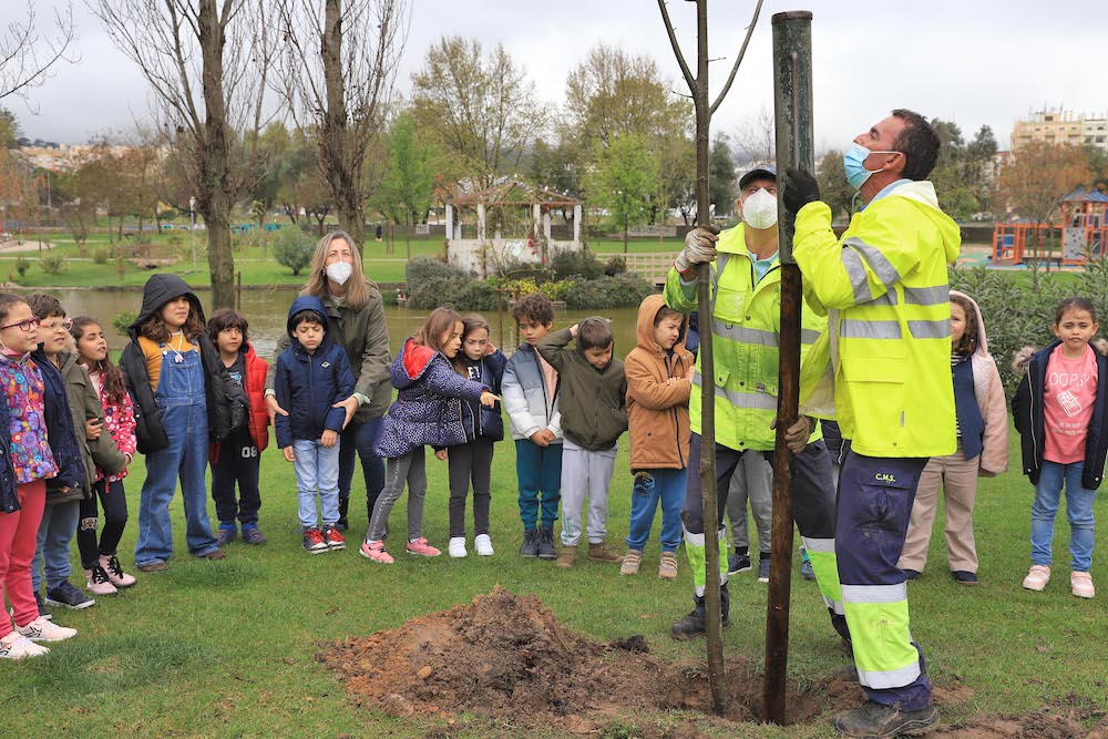 Dia Mundial da Árvore | plantação de árvores na Algodeia