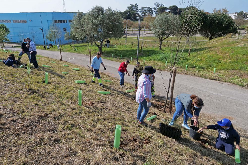 Dia Mundial da Árvore | plantação de árvores no Parque Sant'Iago