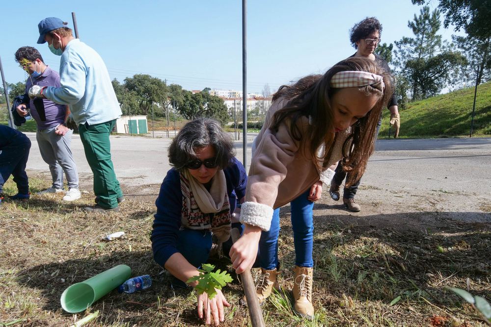 Dia Mundial da Árvore | plantação de árvores no Parque Sant'Iago