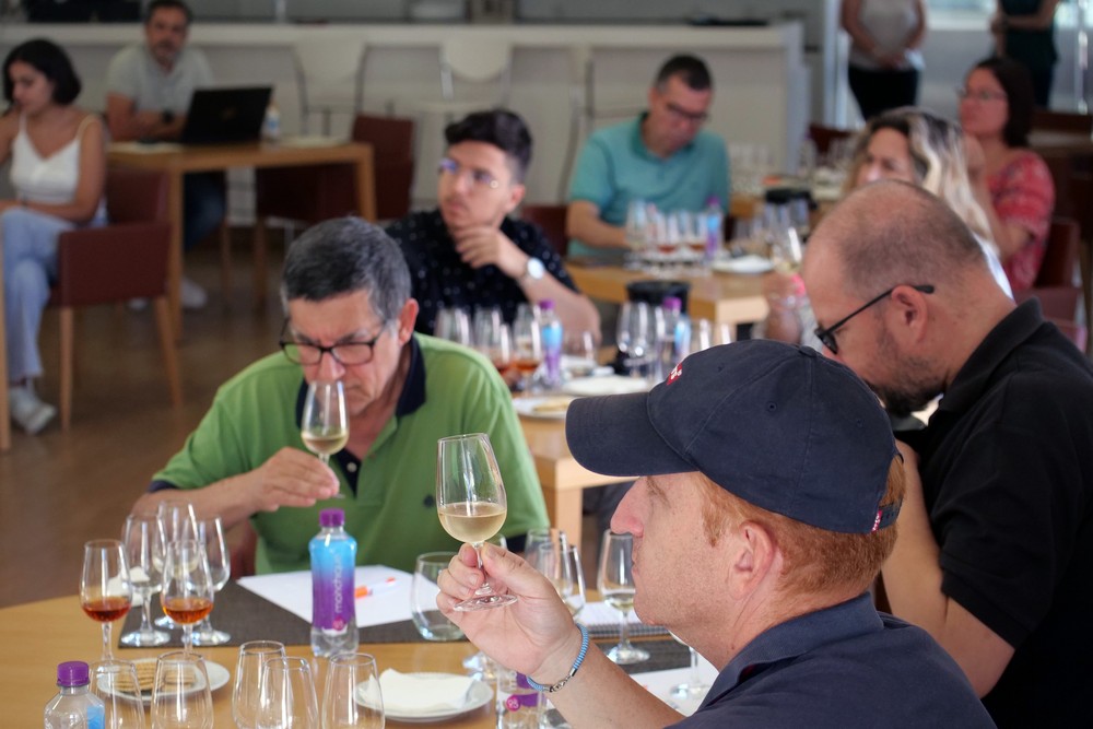 Workshop Vinhos do Concelho - Da Adega à Garrafeira
