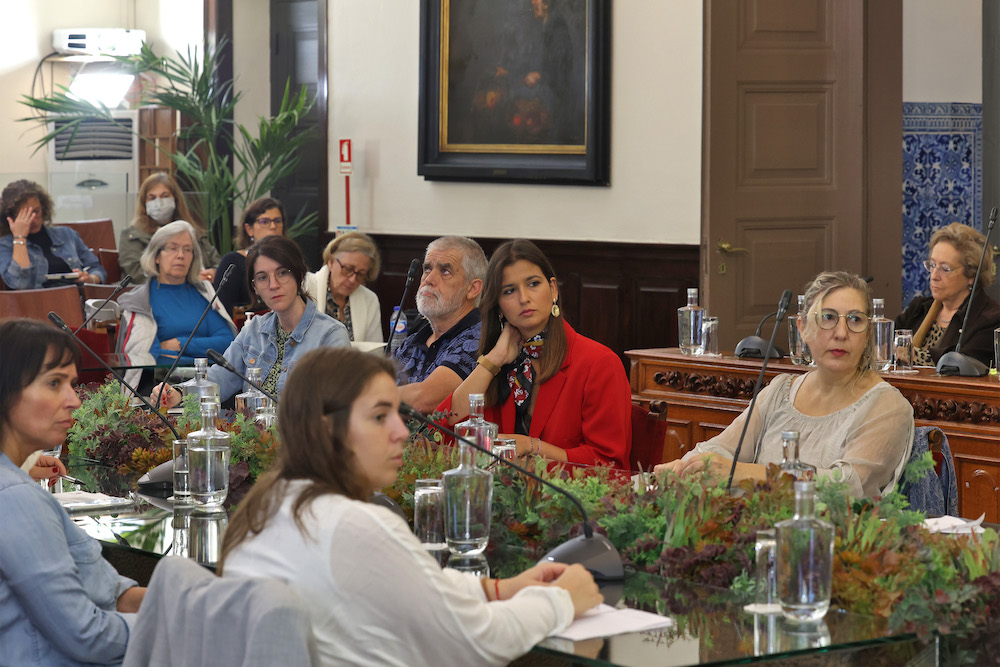 CLASS - Conselho Local de Ação Social de Setúbal -reunião extraordinária - análise da situação social e económica do concelho