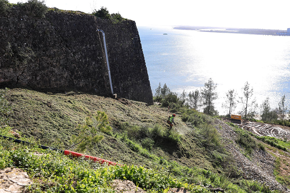 Preparação do terreno para a execução da segunda fase do projeto de reforço estrutural da encosta do Forte de São Filipe.