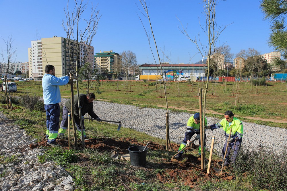 Plantação de mais de mil árvores desenvolve Parque Urbano da Várzea