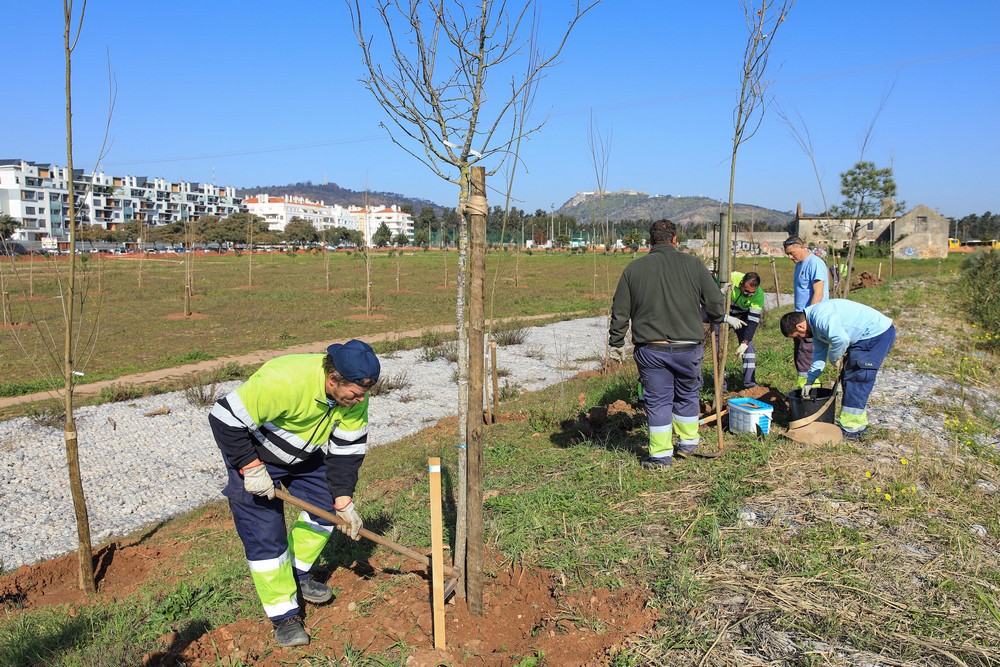 Plantação de mais de mil árvores desenvolve Parque Urbano da Várzea