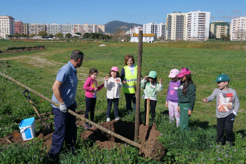 Dia Mundial da Árvore - Plantação de árvores no Parque Urbano na Várzea com alunos e Executivo