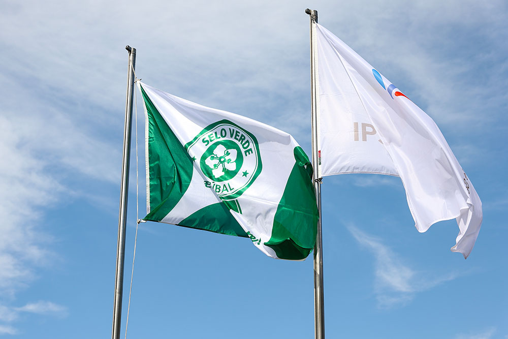 Bandeira Selo Verde içada no campus do Instituto Politécnico de Setúbal