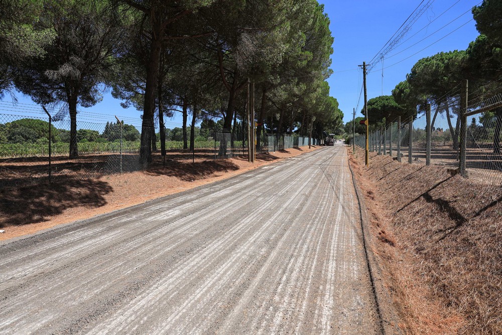 Obra de remoção de raízes e repavimentação da Estrada de São Pedro, em Azeitão