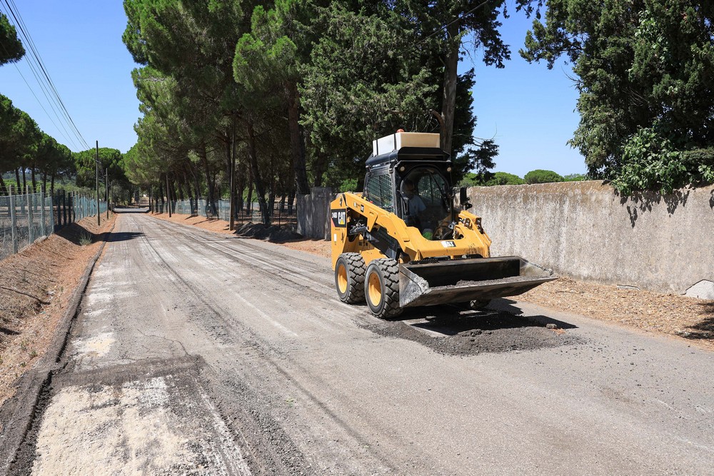 Obra de remoção de raízes e repavimentação da Estrada de São Pedro, em Azeitão