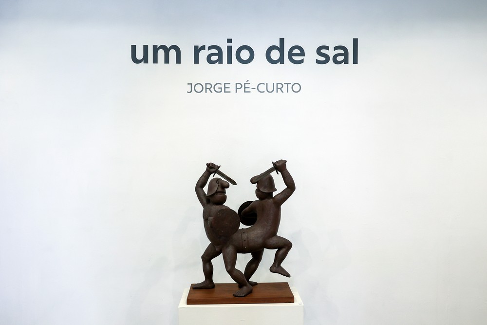 Um Raio de Sal - inauguração de exposição de Jorge Pé-Curto - MAEDS