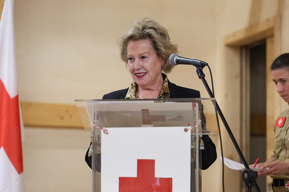 Vice-presidente da Cruz Vermelha Portuguesa, Madalena Ramalho