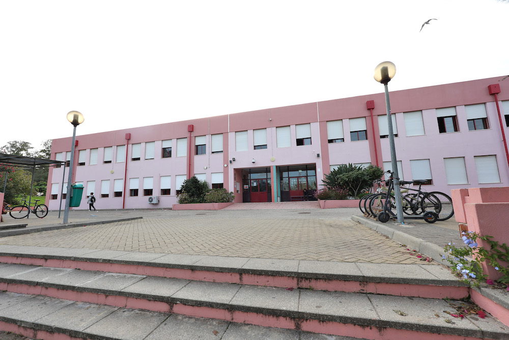 Escola Secundária Dom Manuel Martins