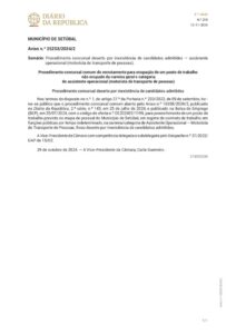 miniatura de DR_2ª_série_n.º_219_de_12_de_novembro_de_2024